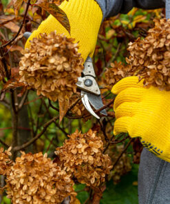 Garden & Agriculture