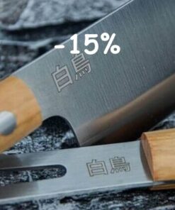 Japanese professional knives