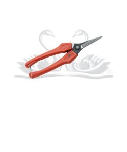 MAKAZE ZA BERBU GROŽĐA