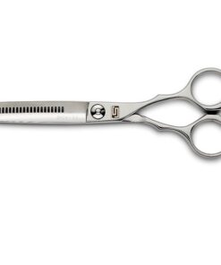 SHIDOSHA ASSISTANT 6