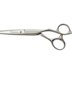 PASSIONE 6